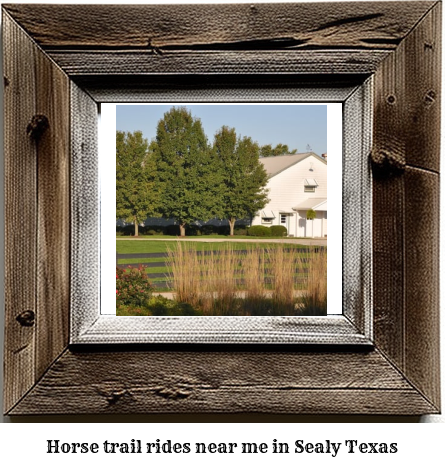 horse trail rides near me in Sealy, Texas